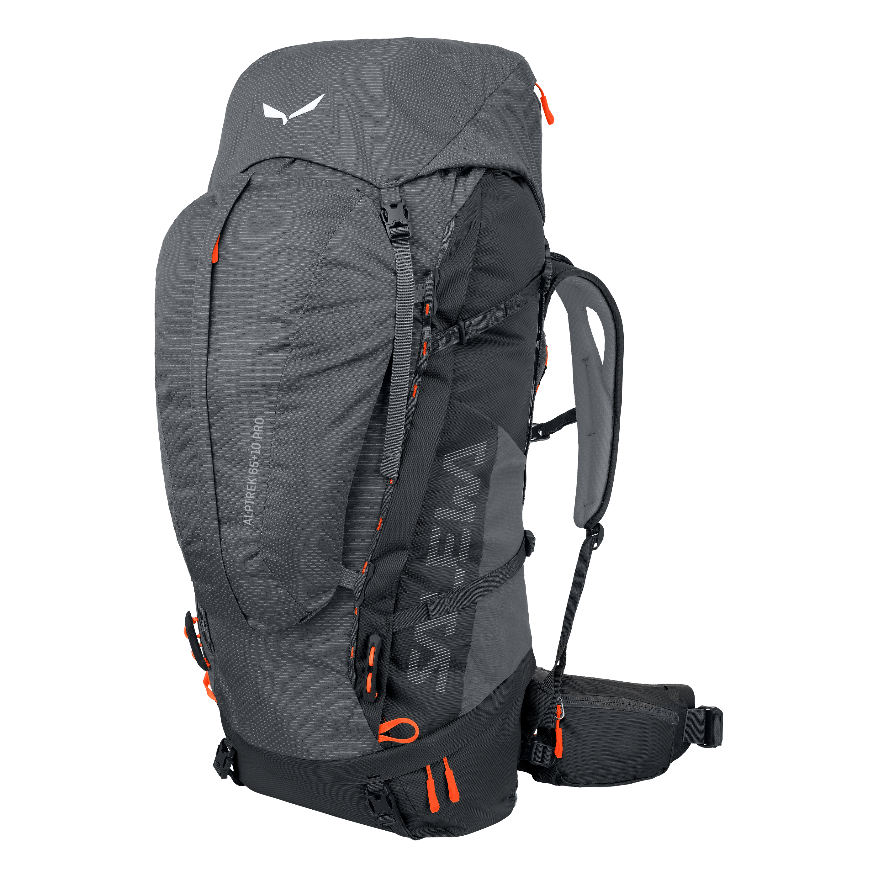 Alptrek 65+10 L Pro Backpack