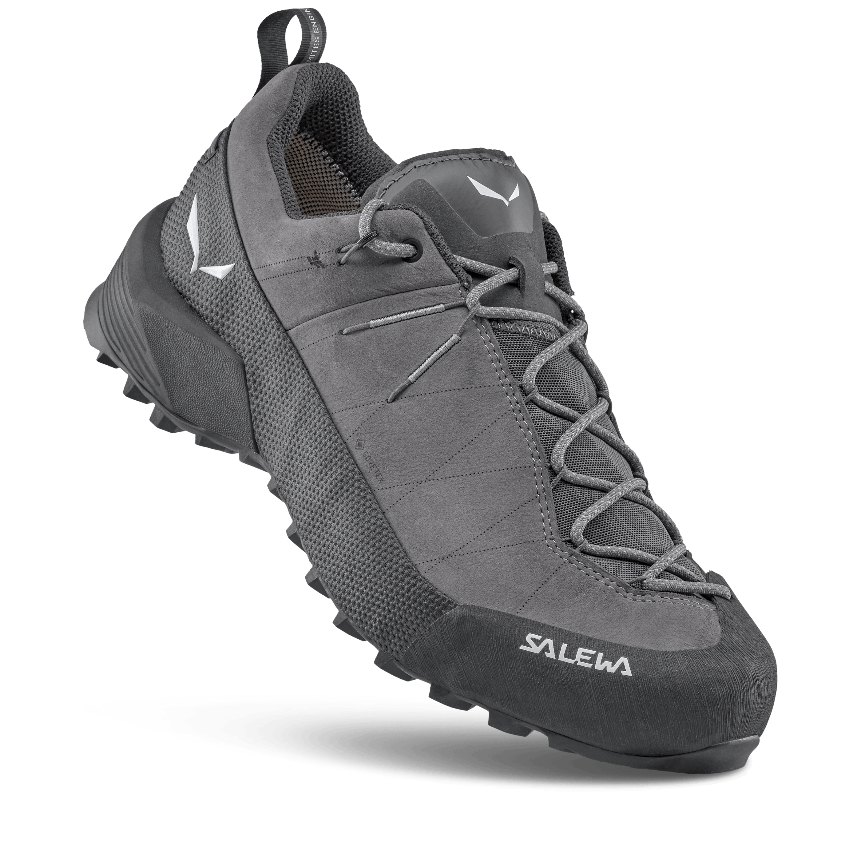 Wildfire Leather 2 GORE-TEX® Shoe Men