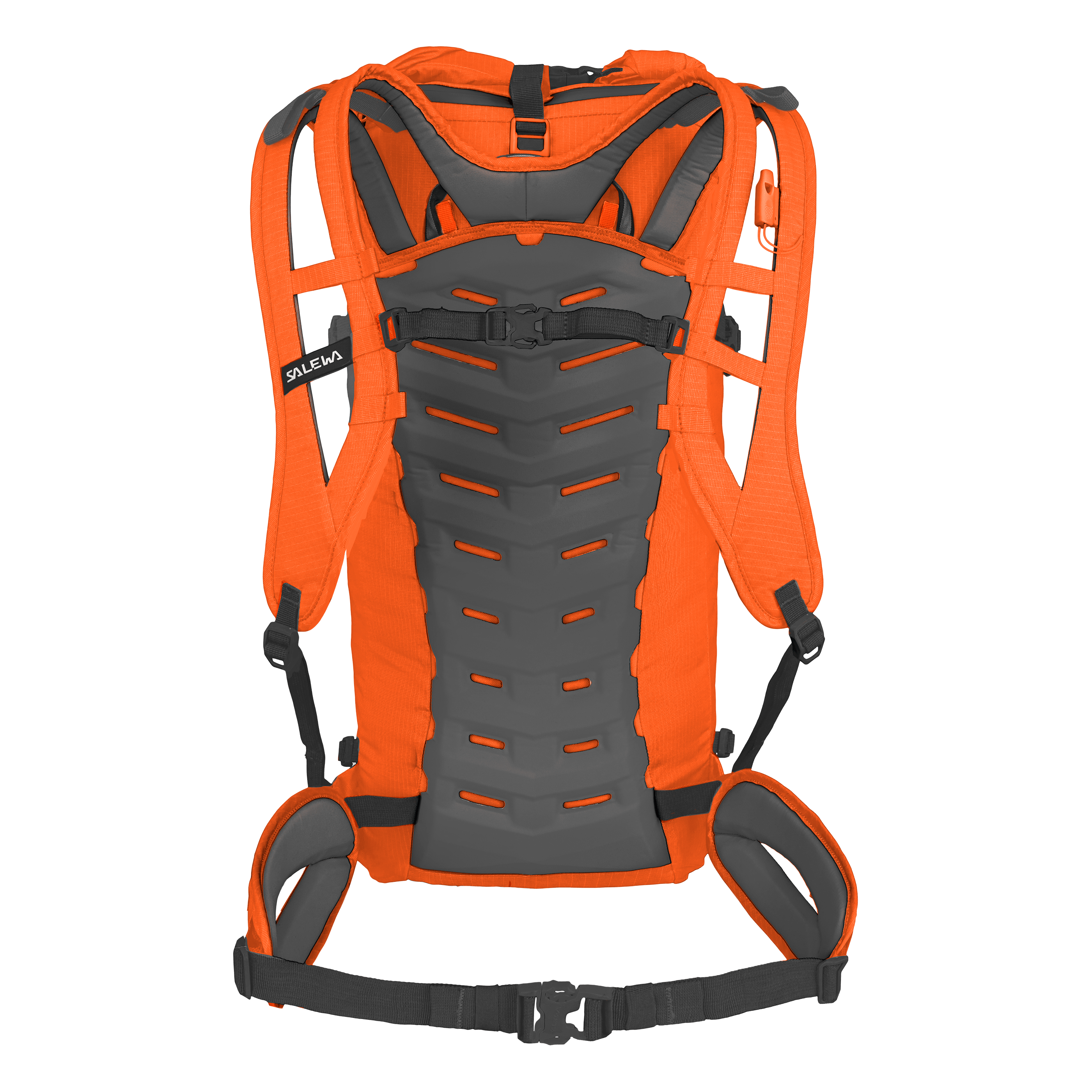 Ortles Wall 38L Backpack